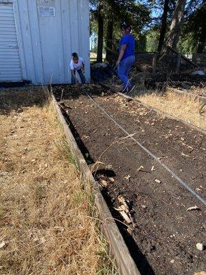 Preparing rows for planting