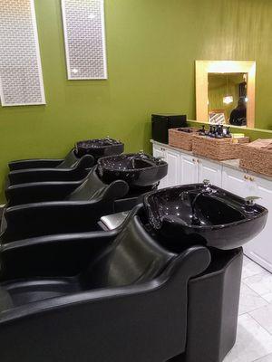 Shampoo area