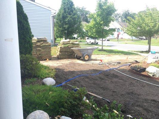 front yard install in progress...Central Sod Zenith Zoysia in background (105 degree heat)