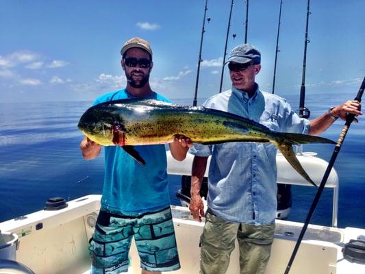 Mahi Mahi, one of our many awesome fish in the Gulf of Mexico.