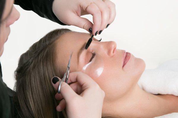 brow and eyelash services