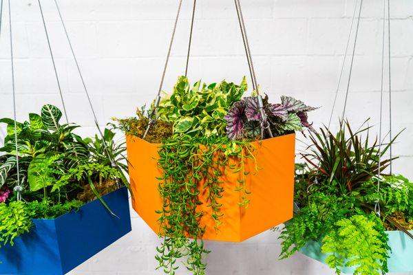 Hanging planter boxes with stainless steel cables.