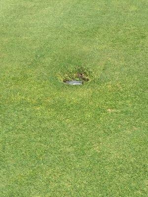 Very well built sprinkler head...just solid