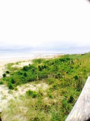 Healthy sand dunes