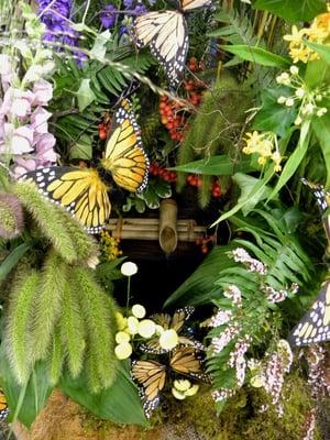 A table fountain among a butterfly garden.  Lovely for the office too.