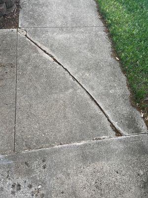 Cracked sidewalk