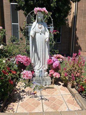 8.18.24 Happy Sunday, thank you Mama Mary, pls. pray for us.