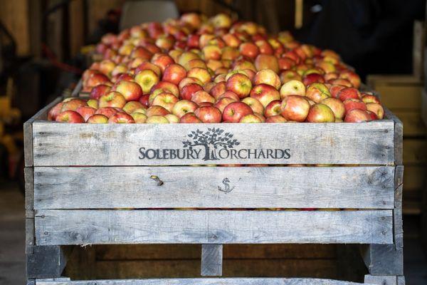 Solebury Orchards