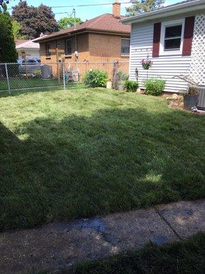 Sod has me installed yard looks good