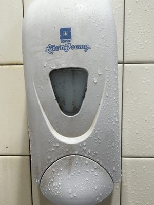 Filthy soap dispensers in showers. If you zoom in you can see the mold