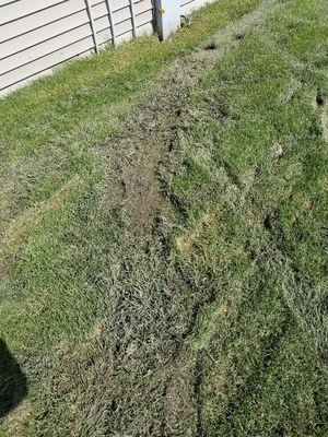 tire marks from their mowers, no regard for damp days.  They would just tear through our lawns.