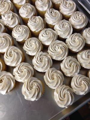 Madagascar Vanilla Bean Cupcakes