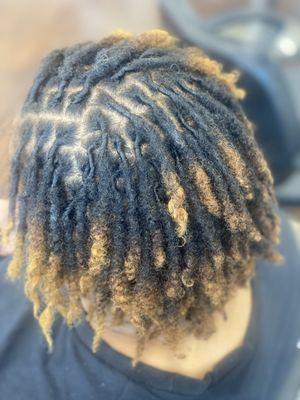 Loc Retwist