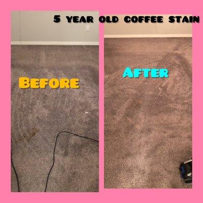 Complete dirt removal and shampoo. 5 year old coffee stain removed. Only one coat of scotch guard all natural shampoo