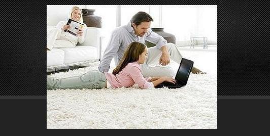 Platinum Carpet Systems