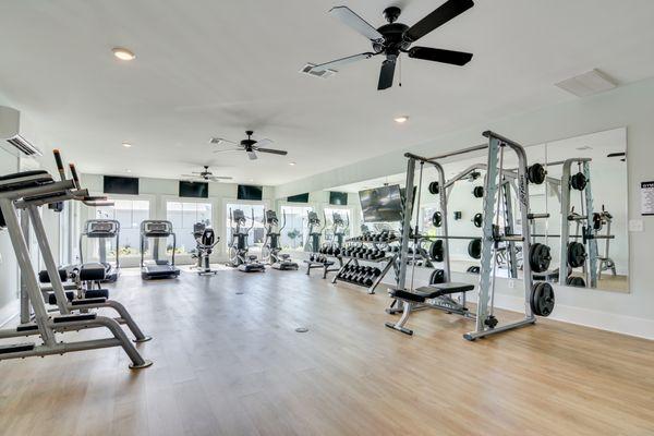 State of art gym equipment, including TRX stations