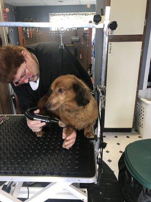 Oscar with Groomer Linda