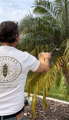 Encinitas Bee Company