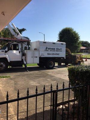 This is the bad mamma jamma  for Wise Cut Tree service!