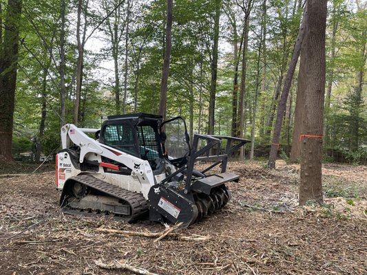 Forestry mulching