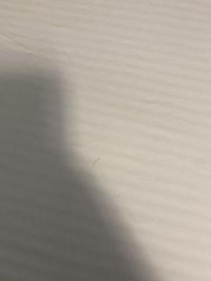 Eyelash on "clean" sheets