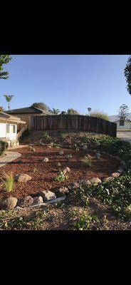 Drought resistant landscape