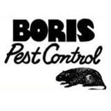 Boris Pest Control logo