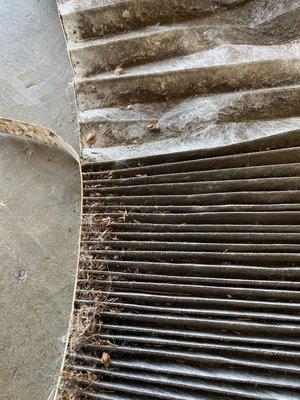 Dirty cabin filter