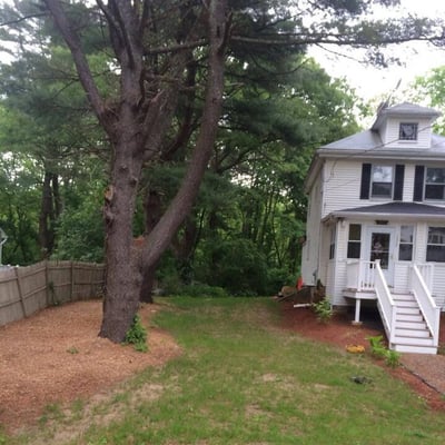 Before the installation of the privacy fence