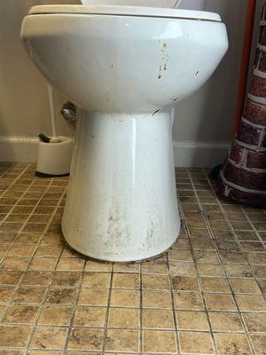 Bathroom's grout Long time without been cleaned properly floors and toilet seat BEFORE cleaning