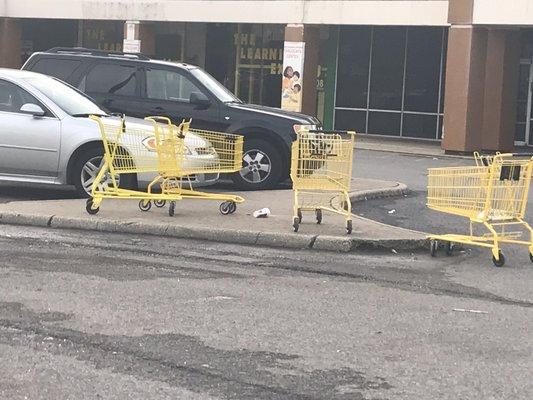 Shopping carts everywhere