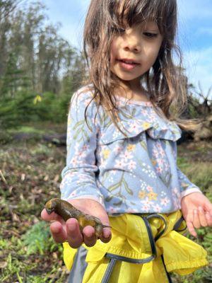 A forest preschooler carefully holds a banana slug at Spire School