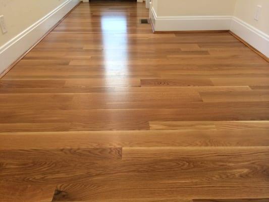 One out of seven beautifully laid rooms in our new addition and old part of 1910 Hyde Park home.