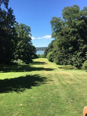 View from the back porch.