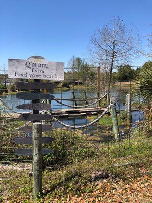 Gator pond at Tiki Island hut