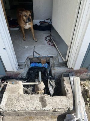 This is what we had in place for a while - old well piping, a huge gap in the foundation wall, and busted tiles.