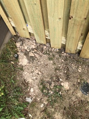 Front of the fence on the side of the house. Several pickets were covered in dirt and had no clearance.