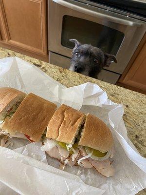 Turkey sub