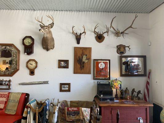 Wall adornments like horns, clocks, mirrors and taxidermy