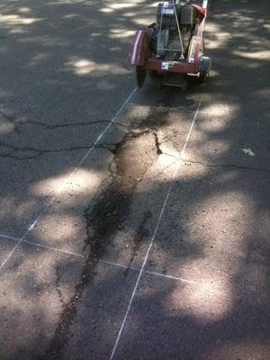 Asphalt repair "before"