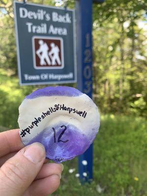 #purpleshellsofharpswell drop off