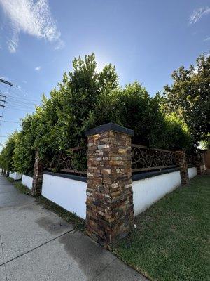 New wall around our property with beautiful pillars wrapped in stackstone, lighting in pillars