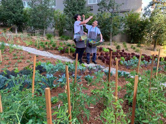 1 Hotel West Hollywood's chefs love the 2000sf organic urban farm we created just off Sunset Boulevard.