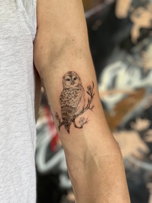 Realism owl by Eryn