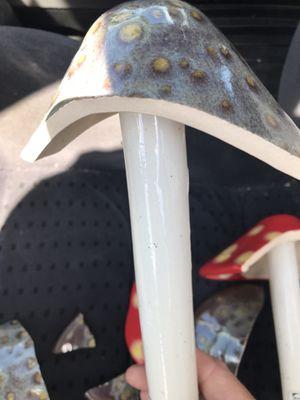 Ceramic mushroom that broke upon putting into the car trunk.