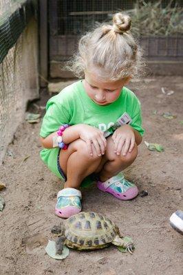 A camper making friends with a tortoise in our nature department.