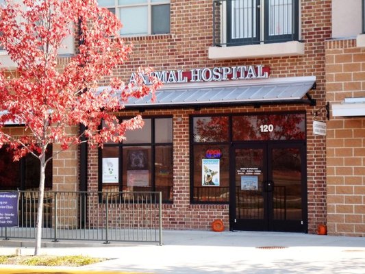 Loudoun Valley Animal Hospital