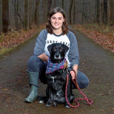 Experienced, positive reinforcement based dog trainer Abbie Volpone