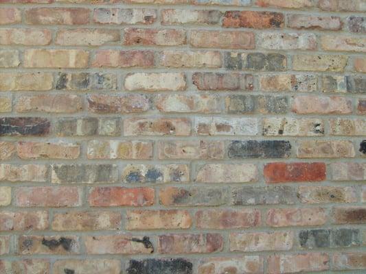 Reclaimed Chicago Common Brick