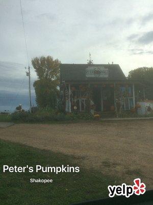 Peter's Pumpkins